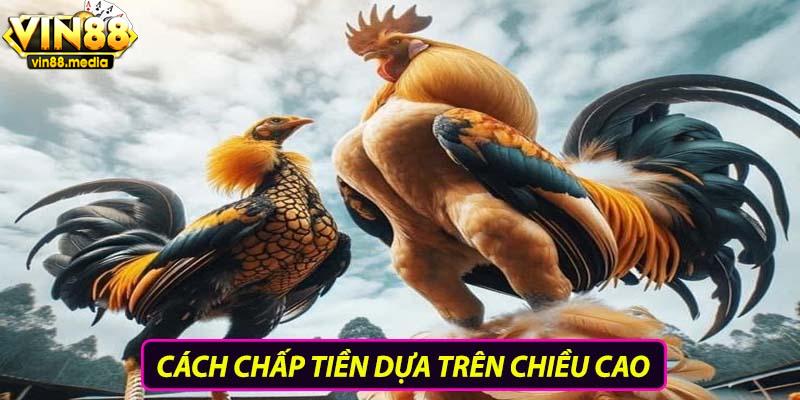 Cách chấp tiền dựa trên chiều cao